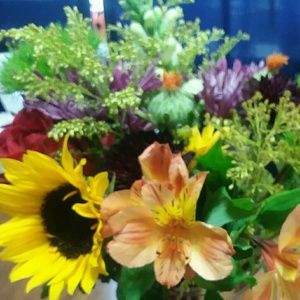 Meet your Posher, Shea